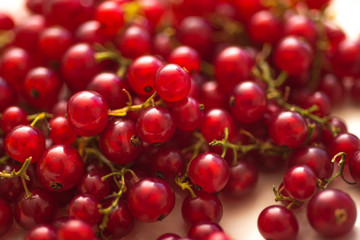Fresh Delicious Red currant berries, close up.