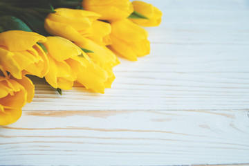 Spring Yellow tulips on a white wooden background