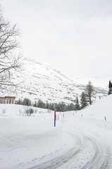 Maloja, Oberengadin, Engadin, Silsersee, Winterlandschaft, Winter, Wintersport, Langlauf, Winterwanderweg, Graubünden, Alpen, Schweiz