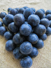 Fresh, dark blue plums scattered on the table.