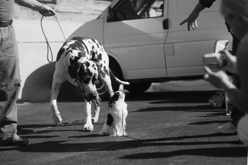 Не бойся, маленькая...