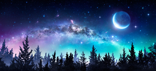 Voie lactée et lune dans la forêt de nuit