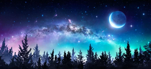 Fotobehang Nacht Melkweg en maan in nachtbos