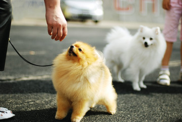 Руки любимых хозяек