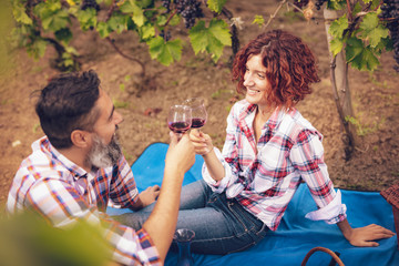 Fototapeta premium Picnic At Vineyard