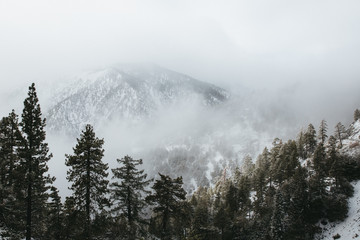 Looming, Angeles National Forest, California