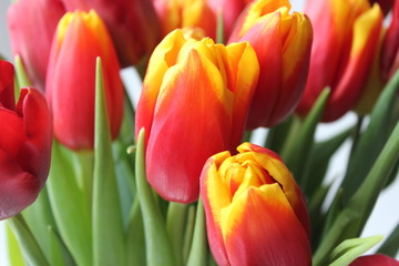 Naklejka premium Spring flowers tulips on a stone textured table. March 8, international women`s day, mother`s day or birthday. Empty space for your text, top view,card.