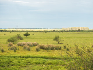 A view of the pampa biome in the border between Brazil and Argentina