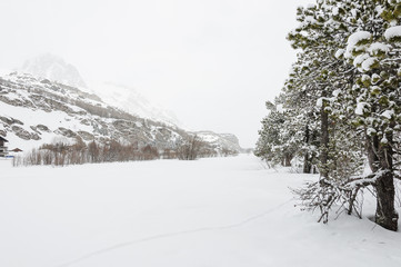 Maloja, Dorf, Engadin, Oberengadin, Winter, Wintersport, Langlauf, Winterwanderweg, Alpen, Graubünden, Schneefall, Schweiz