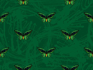 Butterfly. Seamless pattern of butterflies. Endless colorful texture vector background. Perfect for wallpapers, pattern fills, web page backgrounds, surface textures, textile