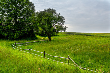 Spring landscape with a fence