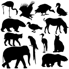 Silhouette elephant tiger bear giraffe flamingo pelican goose on a white background