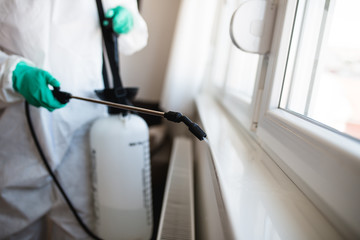 Exterminator in work wear spraying pesticide with sprayer
