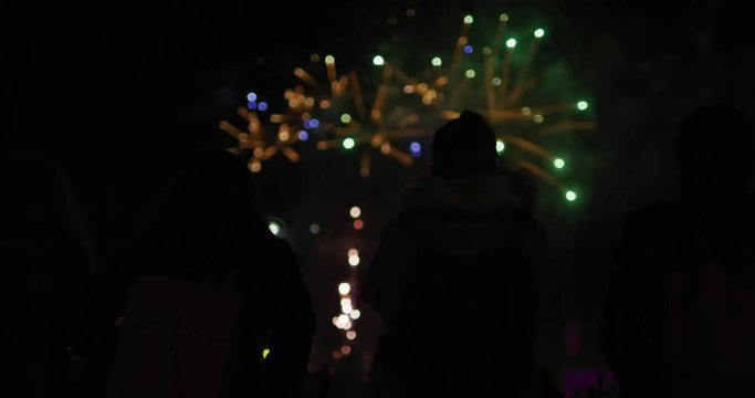 People admiring the fireworks
