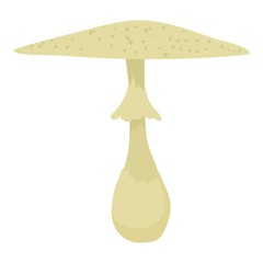 Macrolepiota procera icon, cartoon style