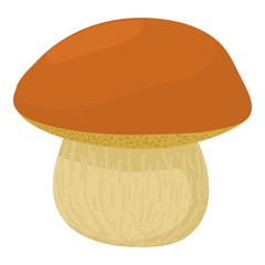 Boletus edulis icon, cartoon style