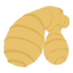 Ginger icon, cartoon style