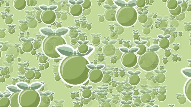 Simple green grapefruit video background in vintage retro style. 4K UltraHD motion graphic animation.