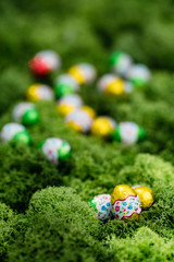 chocolate easter eggs on green lawn