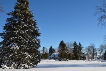 A Michigan Winter