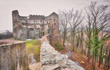Fototapeta na wymiar Ruins of the medieval Bolkow Castle