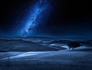 Foto op Plexiglas Alone tree on field at night with milky way © shaiith