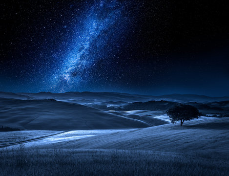 Alone tree on field at night with milky way