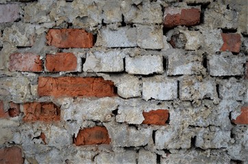 a background of brick and cement