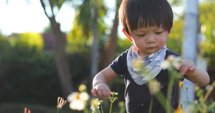 boy child playing grass flowers in the park with soft sunlight in the summer day