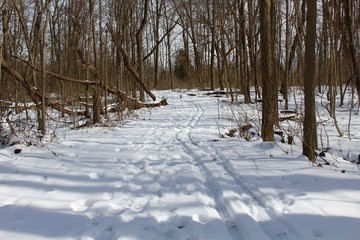 The foot prints on the snowy trail in the forest.