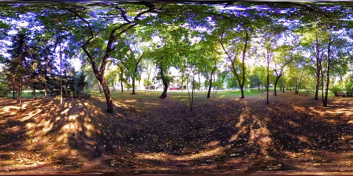 UHD 4K 360 VR Virtual Reality of a city park recreation area. Trees and green grass at autumn or summer day. Path and sun rays.