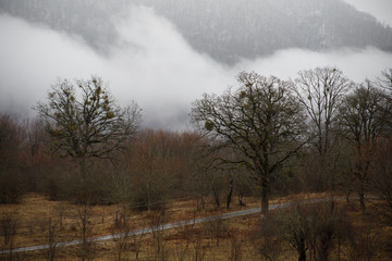 Landscape with beautiful fog in forest on hill or Trail through a mysterious winter forest with autumn leaves on the ground. Road through a winter forest. Magical atmosphere. Azerbaijan