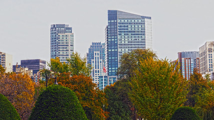 Obraz premium Skyline of Boston and trees 