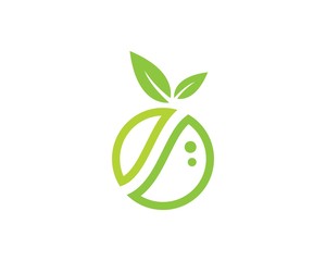 melons logo vector