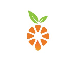 Orange logo design