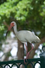 See I can stand on one leg