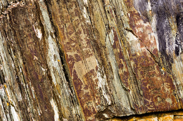 Petroglyphs ancient rock paintings in the Altai Mountains, Russia
