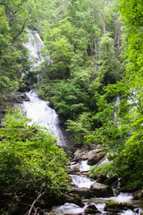 Obraz premium Waterfall In The Forest