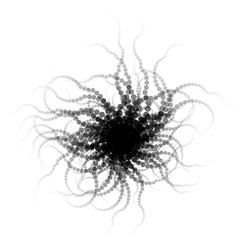 Vector Black Round Radial Ophiura Creature with Tentacles isolated on White - Generative Art  
 - obrazy, fototapety, plakaty