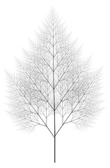 Flat Vector Computer Generated Self-Similar L-system Branching Tree Fractal  - Generative Art  
