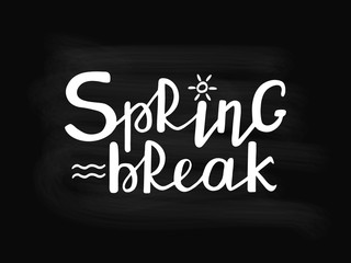 Spring Break hand drawn text chalkboard background. Handwritten modern brush lettering. Vector illustration.