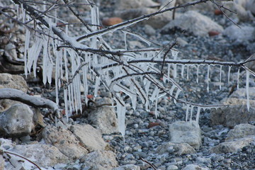 winter snow tree cold landscape