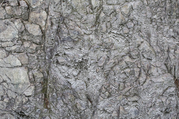 Fragment of a rocky surface