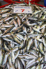 Fish market, Istanbul