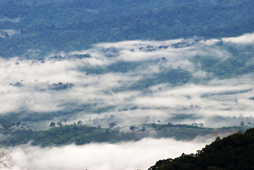 Fog flow at tropical rain forest and mountain landscape