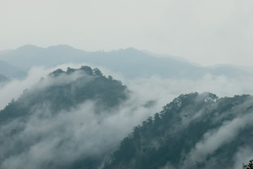 Fog flow at tropical rain forest and mountain landscape