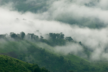 Fog flow at tropical rain forest and mountain landscape