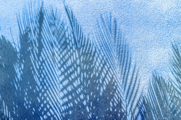 ombres de palmes sur mur en crépi bleu  © Unclesam