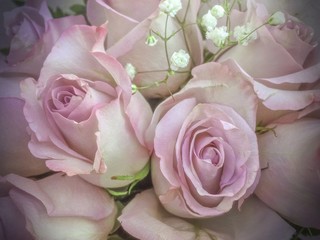 Fototapeta na wymiar Bouquet of fresh light pink roses