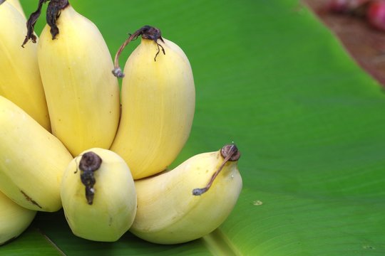 Sweet banana fruit and green leaf
